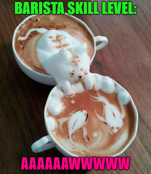 I don't drink coffee myself...but that Barista's got skills... | BARISTA SKILL LEVEL:; AAAAAAWWWWW | image tagged in coffee,memes,barista,funny,aawww,cats | made w/ Imgflip meme maker