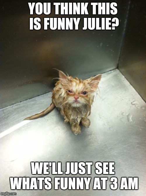 Kill You Cat | YOU THINK THIS IS FUNNY JULIE? WE'LL JUST SEE WHATS FUNNY AT 3 AM | image tagged in memes,kill you cat | made w/ Imgflip meme maker