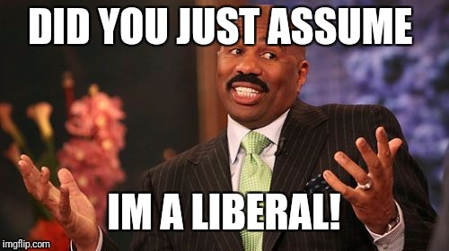Steve Harvey | DID YOU JUST ASSUME; IM A LIBERAL! | image tagged in memes,steve harvey | made w/ Imgflip meme maker