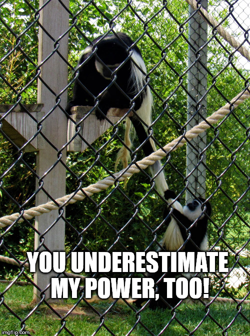 monkey pulling tail | YOU UNDERESTIMATE MY POWER, TOO! | image tagged in monkey pulling tail | made w/ Imgflip meme maker