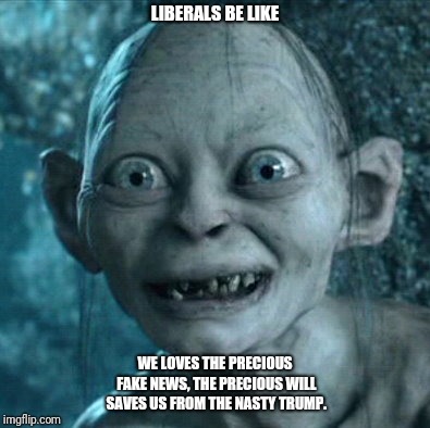 Gollum | LIBERALS BE LIKE; WE LOVES THE PRECIOUS FAKE NEWS, THE PRECIOUS WILL SAVES US FROM THE NASTY TRUMP. | image tagged in memes,gollum | made w/ Imgflip meme maker