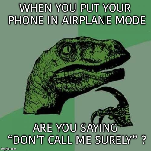 I wonder how many people will get this???? | WHEN YOU PUT YOUR PHONE IN AIRPLANE MODE; ARE YOU SAYING “DON’T CALL ME SURELY” ? | image tagged in i am serious,and dont call me shirley,airplane | made w/ Imgflip meme maker