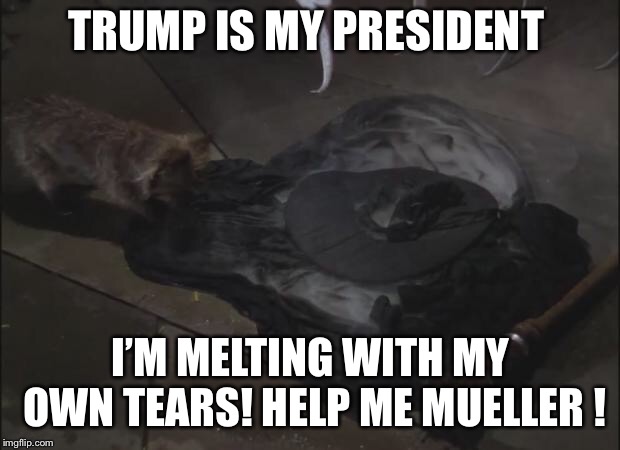 Melted Wicked Witch | TRUMP IS MY PRESIDENT; I’M MELTING WITH MY OWN TEARS! HELP ME MUELLER ! | image tagged in melted wicked witch | made w/ Imgflip meme maker