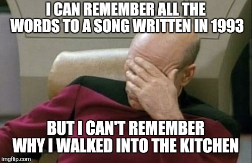 Dam it | I CAN REMEMBER ALL THE WORDS TO A SONG WRITTEN IN 1993; BUT I CAN'T REMEMBER WHY I WALKED INTO THE KITCHEN | image tagged in memes,captain picard facepalm,old people,funny,special kind of stupid | made w/ Imgflip meme maker