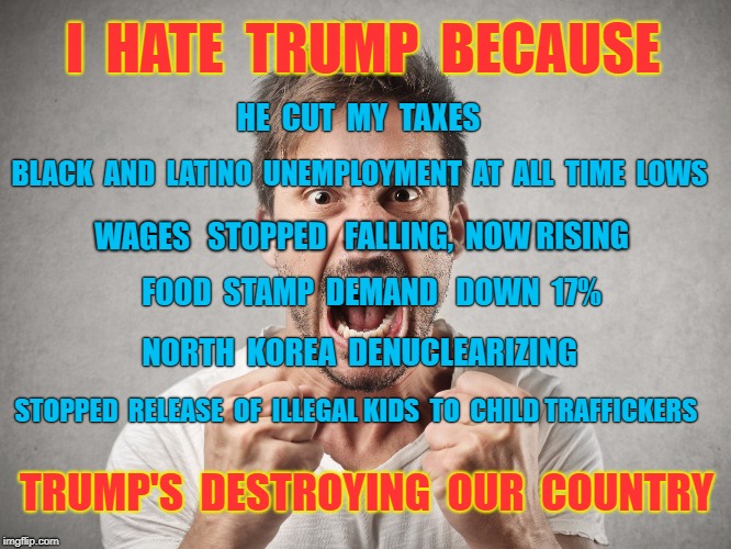 Reasons to hate Trump, the incompetent, bumbling, erratic candidate for impeachment | I  HATE  TRUMP  BECAUSE; HE  CUT  MY  TAXES; BLACK  AND  LATINO  UNEMPLOYMENT  AT  ALL  TIME  LOWS; WAGES   STOPPED   FALLING,  NOW RISING; FOOD  STAMP  DEMAND 
 DOWN  17%; NORTH  KOREA  DENUCLEARIZING; STOPPED  RELEASE  OF  ILLEGAL KIDS  TO  CHILD TRAFFICKERS; TRUMP'S  DESTROYING  OUR  COUNTRY | image tagged in trump,economy,haters,democrats,impeach trump | made w/ Imgflip meme maker