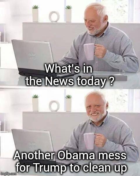Obama's buddies the ICC and PLO are back | What's in the News today ? Another Obama mess for Trump to clean up | image tagged in memes,hide the pain harold,war criminal,soldiers,attack,usa | made w/ Imgflip meme maker