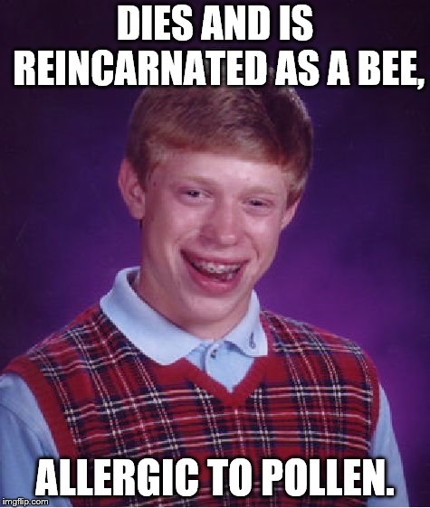 Bad Luck Brian Meme | DIES AND IS REINCARNATED AS A BEE, ALLERGIC TO POLLEN. | image tagged in memes,bad luck brian | made w/ Imgflip meme maker