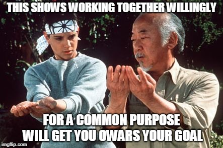 ASIAN TRAINS WHITE BOY | THIS SHOWS WORKING TOGETHER WILLINGLY; FOR A COMMON PURPOSE WILL GET YOU OWARS YOUR GOAL | image tagged in karate kid | made w/ Imgflip meme maker