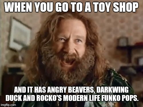 Are the kids buying them for their parents, or what? | WHEN YOU GO TO A TOY SHOP; AND IT HAS ANGRY BEAVERS, DARKWING DUCK AND ROCKO'S MODERN LIFE FUNKO POPS. | image tagged in memes,what year is it,90s,90s kids,cartoons,toys | made w/ Imgflip meme maker