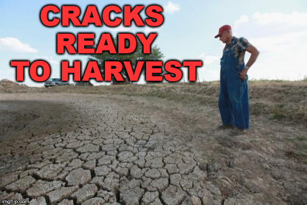 I guess he is a crack dealer. | CRACKS READY TO HARVEST | image tagged in drought farmer,memes,funny,crack,crack head,addict | made w/ Imgflip meme maker