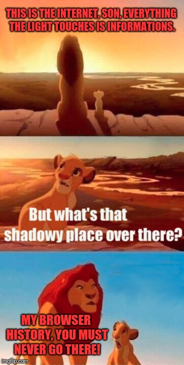 Simba Shadowy Place | THIS IS THE INTERNET, SON, EVERYTHING THE LIGHT TOUCHES IS INFORMATIONS. MY BROWSER HISTORY, YOU MUST NEVER GO THERE! | image tagged in memes,simba shadowy place | made w/ Imgflip meme maker
