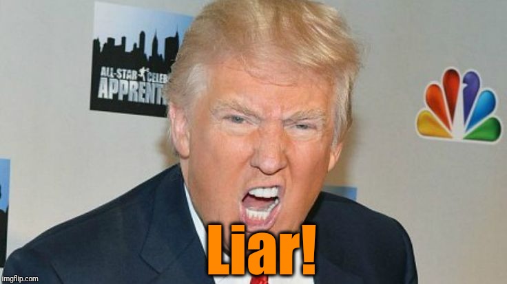 Liar! | image tagged in trump mad | made w/ Imgflip meme maker