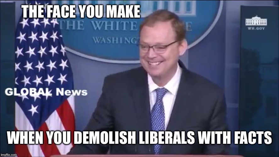 THE FACE YOU MAKE WHEN YOU DEMOLISH LIBERALS WITH FACTS | made w/ Imgflip meme maker