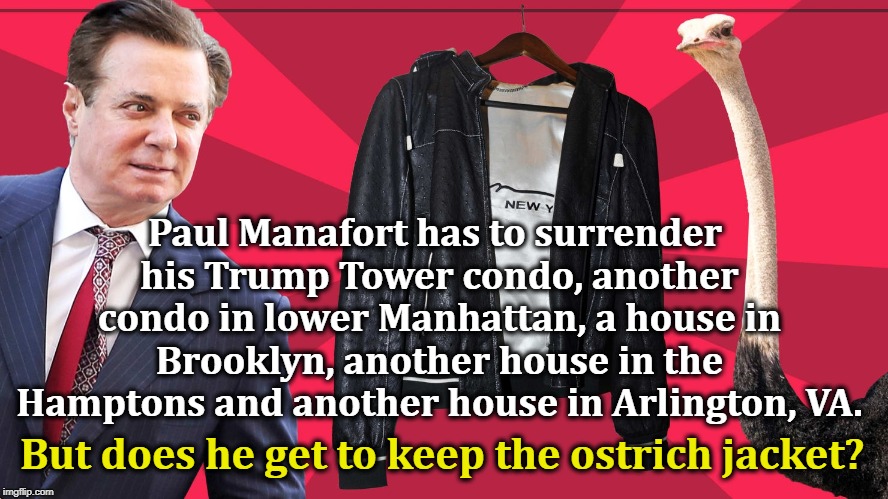 Paul Manafort has to surrender his Trump Tower condo, another condo in lower Manhattan, a house in Brooklyn, another house in the Hamptons and another house in Arlington, VA. But does he get to keep the ostrich jacket? | image tagged in manafort,trump,condo,brooklyn,hamptons,ostrich | made w/ Imgflip meme maker