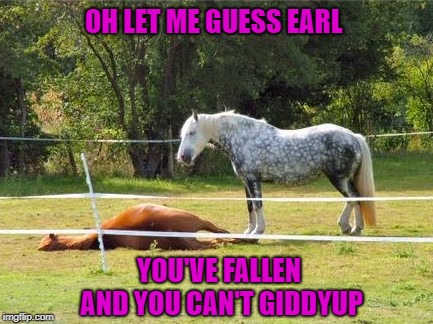 We'll have you up before you can say "furlong"!!! | OH LET ME GUESS EARL; YOU'VE FALLEN AND YOU CAN'T GIDDYUP | image tagged in help i've fallen and i can't get up,memes,horses,funny,animals,life alert | made w/ Imgflip meme maker