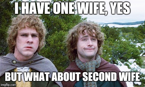 I HAVE ONE WIFE, YES; BUT WHAT ABOUT SECOND WIFE | image tagged in polygamy | made w/ Imgflip meme maker