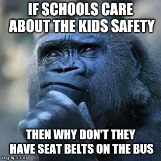 Thinking ape | IF SCHOOLS CARE ABOUT THE KIDS SAFETY; THEN WHY DON'T THEY HAVE SEAT BELTS ON THE BUS | image tagged in thinking ape | made w/ Imgflip meme maker