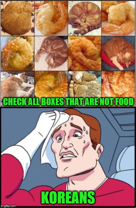 Prove you are not a bot. Don't you just hate these puzzles. | CHECK ALL BOXES THAT ARE NOT FOOD; KOREANS | image tagged in autobots,memes,food | made w/ Imgflip meme maker