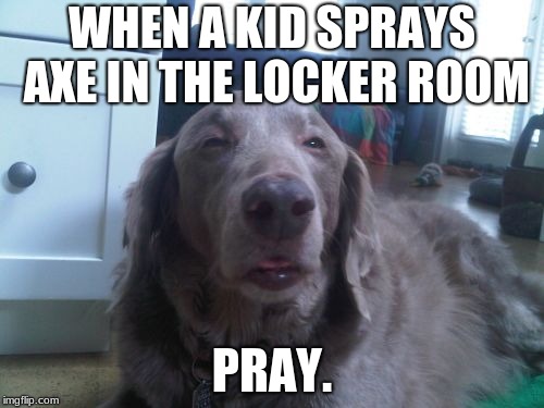 High Dog | WHEN A KID SPRAYS AXE IN THE LOCKER ROOM; PRAY. | image tagged in memes,high dog | made w/ Imgflip meme maker