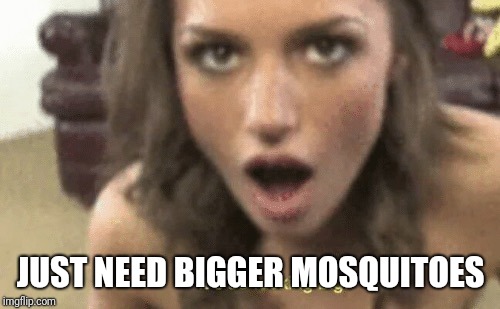 It's so fucking big | JUST NEED BIGGER MOSQUITOES | image tagged in it's so fucking big | made w/ Imgflip meme maker