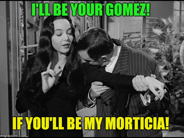 For my squishy tush! | I'LL BE YOUR GOMEZ! IF YOU'LL BE MY MORTICIA! | image tagged in addams family,still a better love story than twilight | made w/ Imgflip meme maker