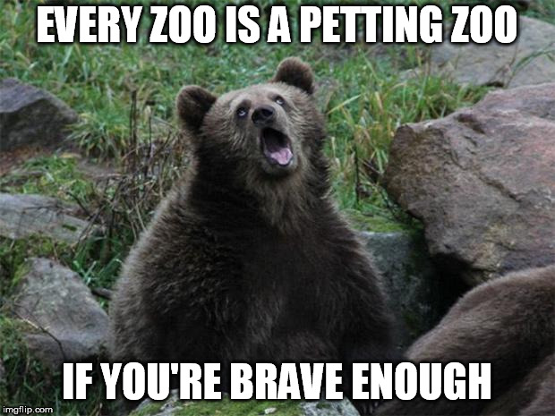 Sarcastic Bear | EVERY ZOO IS A PETTING ZOO; IF YOU'RE BRAVE ENOUGH | image tagged in sarcastic bear | made w/ Imgflip meme maker