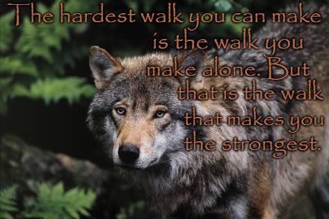 Wolf Wisdom The Hardest Walk You Can Make Is The Walk You Make Alone | The hardest walk you can make; is the walk you; make alone. But; that is the walk; that makes you; the strongest. | image tagged in wolf,wolves,animals,native american,native americans,chief | made w/ Imgflip meme maker