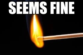 SEEMS FINE | image tagged in matches | made w/ Imgflip meme maker