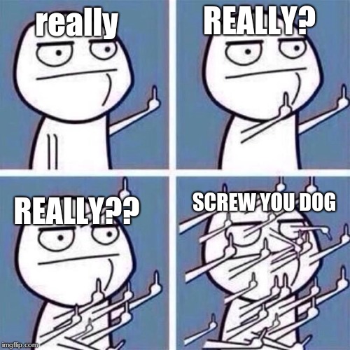 really REALLY? REALLY?? SCREW YOU DOG | image tagged in middle finger | made w/ Imgflip meme maker