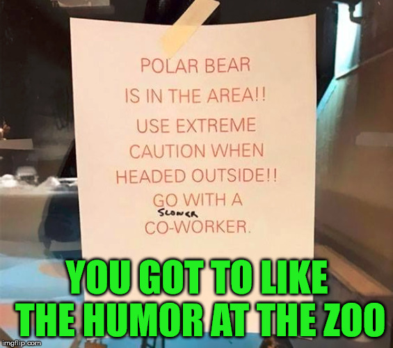 This also applies when hunting any bear, wolf or mountain lion. | YOU GOT TO LIKE THE HUMOR AT THE ZOO | image tagged in memes,slowpoke,hunting,funny sign,sense of humor,polar bear | made w/ Imgflip meme maker