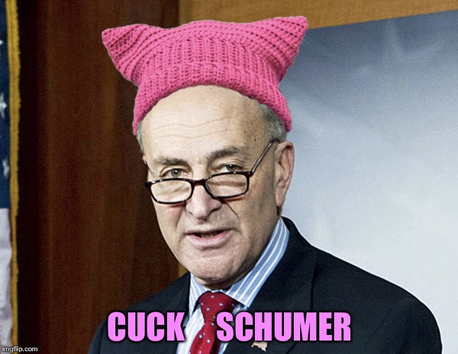 Image Tagged In Schumer Pink Pussy Hat Imgflip