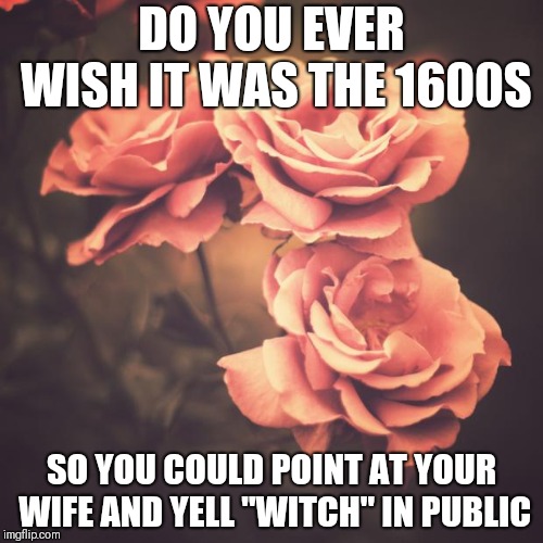 Beautiful Vintage Flowers | DO YOU EVER WISH IT WAS THE 1600S; SO YOU COULD POINT AT YOUR WIFE AND YELL "WITCH" IN PUBLIC | image tagged in beautiful vintage flowers | made w/ Imgflip meme maker