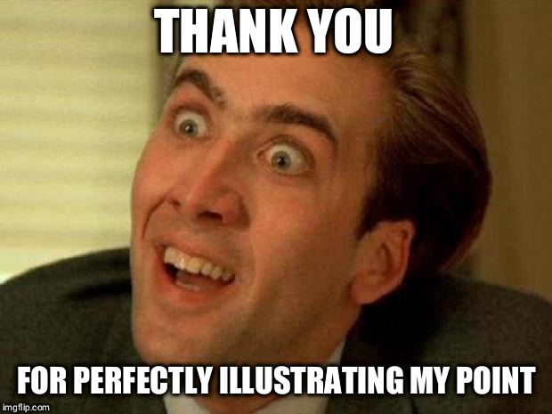 THANK YOU FOR PERFECTLY ILLUSTRATING MY POINT | image tagged in nick cage | made w/ Imgflip meme maker