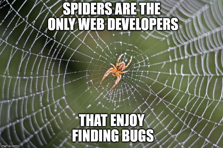 Web developers lament. | SPIDERS ARE THE ONLY WEB DEVELOPERS; THAT ENJOY FINDING BUGS | image tagged in spider web | made w/ Imgflip meme maker