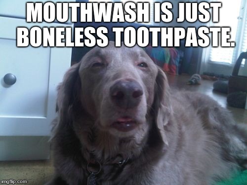 High Dog | MOUTHWASH IS JUST BONELESS TOOTHPASTE. | image tagged in memes,high dog | made w/ Imgflip meme maker
