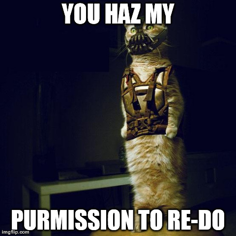 YOU HAZ MY PURMISSION TO RE-DO | image tagged in cat bane | made w/ Imgflip meme maker