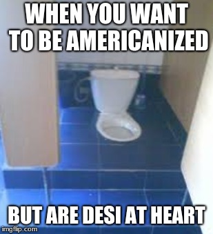 Here's a bad construction week meme I didn't submit earlier | WHEN YOU WANT TO BE AMERICANIZED; BUT ARE DESI AT HEART | image tagged in toilet,indian memes,desi memes,immigrants,bad construction week | made w/ Imgflip meme maker