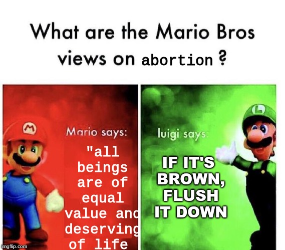 what are the Mario Bros' views on Abortion? | "all beings are of equal value and deserving of life; abortion; IF IT'S BROWN, FLUSH IT DOWN | image tagged in what are the mario bros views on,mario,bros,luigi,meme,meem | made w/ Imgflip meme maker