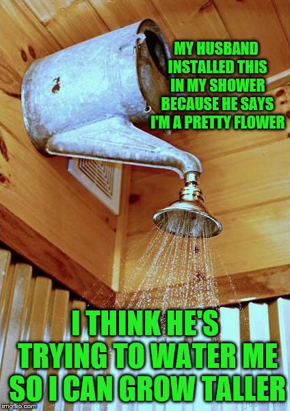 Still a cute idea | MY HUSBAND INSTALLED THIS IN MY SHOWER BECAUSE HE SAYS I'M A PRETTY FLOWER; I THINK HE'S TRYING TO WATER ME SO I CAN GROW TALLER | image tagged in meme,redneck shower,shower,diy fails,memes | made w/ Imgflip meme maker
