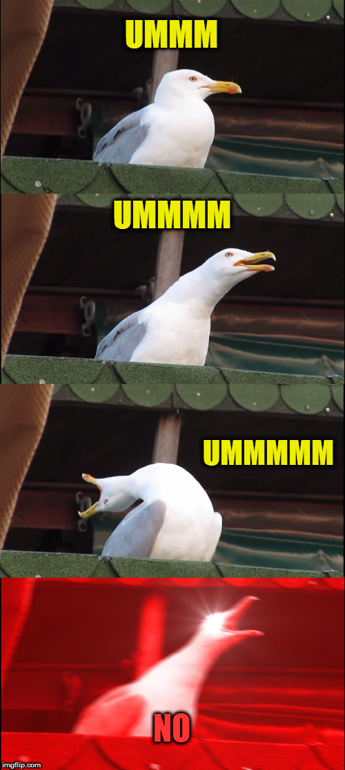 Inhaling Seagull Meme | UMMM UMMMM UMMMMM NO | image tagged in memes,inhaling seagull | made w/ Imgflip meme maker