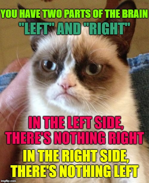 Grumpy cat's description of the human brain! ≥^.^≤ A socrates and Craziness_all_the_way event. Oct 5th-8th. | YOU HAVE TWO PARTS OF THE BRAIN; "LEFT" AND "RIGHT"; IN THE LEFT SIDE, THERE'S NOTHING RIGHT; IN THE RIGHT SIDE, THERE'S NOTHING LEFT | image tagged in memes,grumpy cat,grumpy cat weekend,grumpy cat insults,craziness_all_the_way,socrates | made w/ Imgflip meme maker