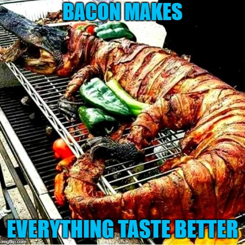 That's some Swamp People shit right there!!! | BACON MAKES; EVERYTHING TASTE BETTER | image tagged in bacon wrapped alligator,memes,bacon,funny,alligators,bbq | made w/ Imgflip meme maker