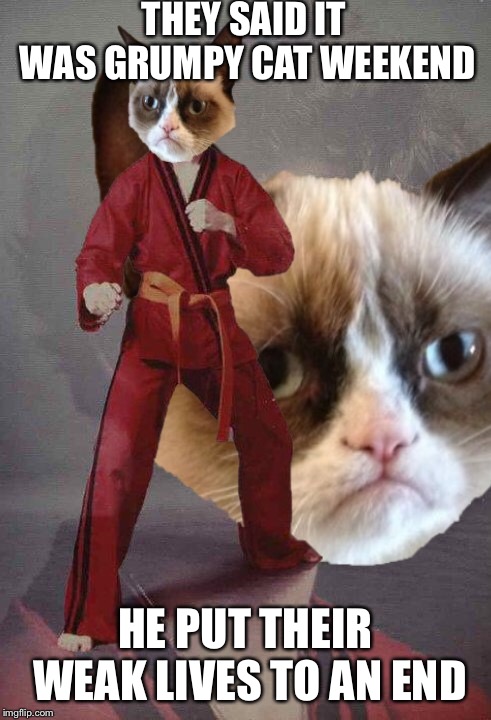 Grumpy Cat's Weekend! A socrates and Craziness_all_the_way event. Oct 5th-8th. | THEY SAID IT WAS GRUMPY CAT WEEKEND; HE PUT THEIR WEAK LIVES TO AN END | image tagged in memes,karate kyle,grumpy cat,grumpy cat weekend | made w/ Imgflip meme maker