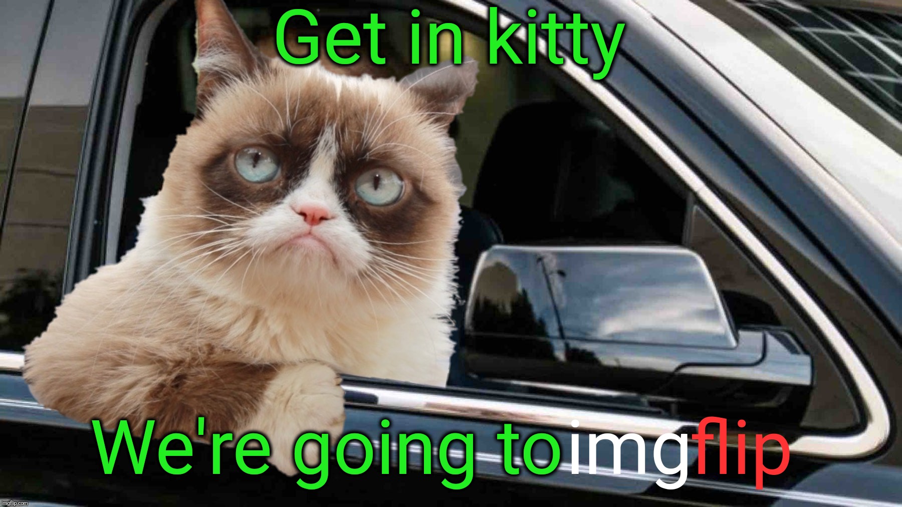 Get in kitty; We're going to; img; flip | image tagged in get in loser,grumpy cat,welcome to imgflip,cat,cats | made w/ Imgflip meme maker