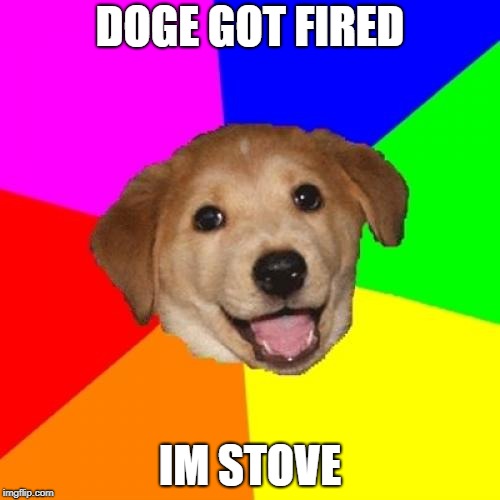 Advice Dog | DOGE GOT FIRED; IM STOVE | image tagged in memes,advice dog | made w/ Imgflip meme maker
