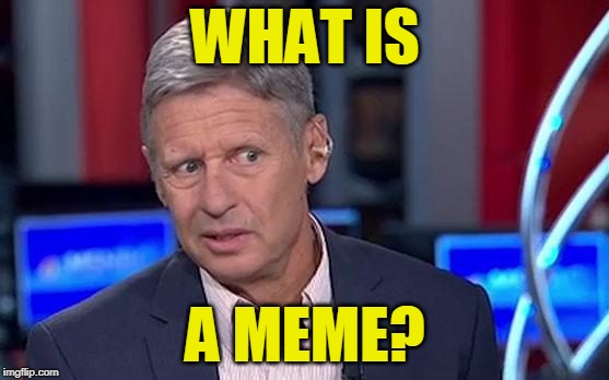 Safe for Work | WHAT IS; A MEME? | image tagged in meme,gary johnson | made w/ Imgflip meme maker