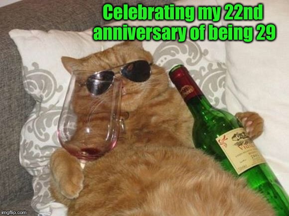 Happy birthday to Me  | Celebrating my 22nd anniversary of being 29 | image tagged in funny cat birthday,happy birthday,anniversary,celebration | made w/ Imgflip meme maker