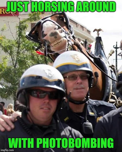 Photobomb horse | JUST HORSING AROUND; WITH PHOTOBOMBING | image tagged in photobomb,police,horse,pipe_picasso | made w/ Imgflip meme maker