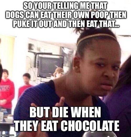 Black Girl Wat | SO YOUR TELLING ME THAT DOGS CAN EAT THEIR OWN POOP THEN PUKE IT OUT AND THEN EAT THAT... BUT DIE WHEN THEY EAT CHOCOLATE | image tagged in memes,black girl wat | made w/ Imgflip meme maker