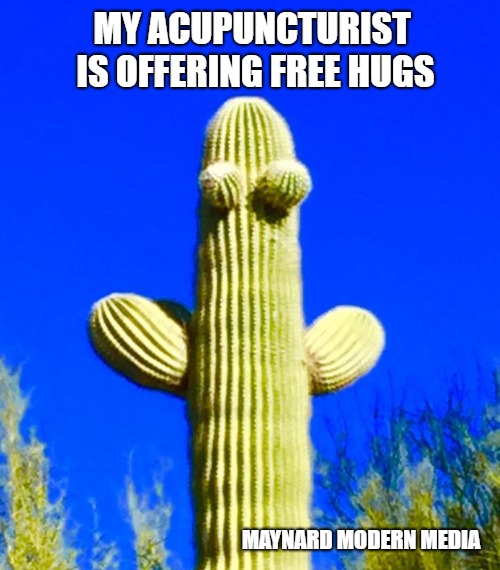 Huggy Cactus  | MY ACUPUNCTURIST IS OFFERING FREE HUGS; MAYNARD MODERN MEDIA | image tagged in huggy cactus | made w/ Imgflip meme maker